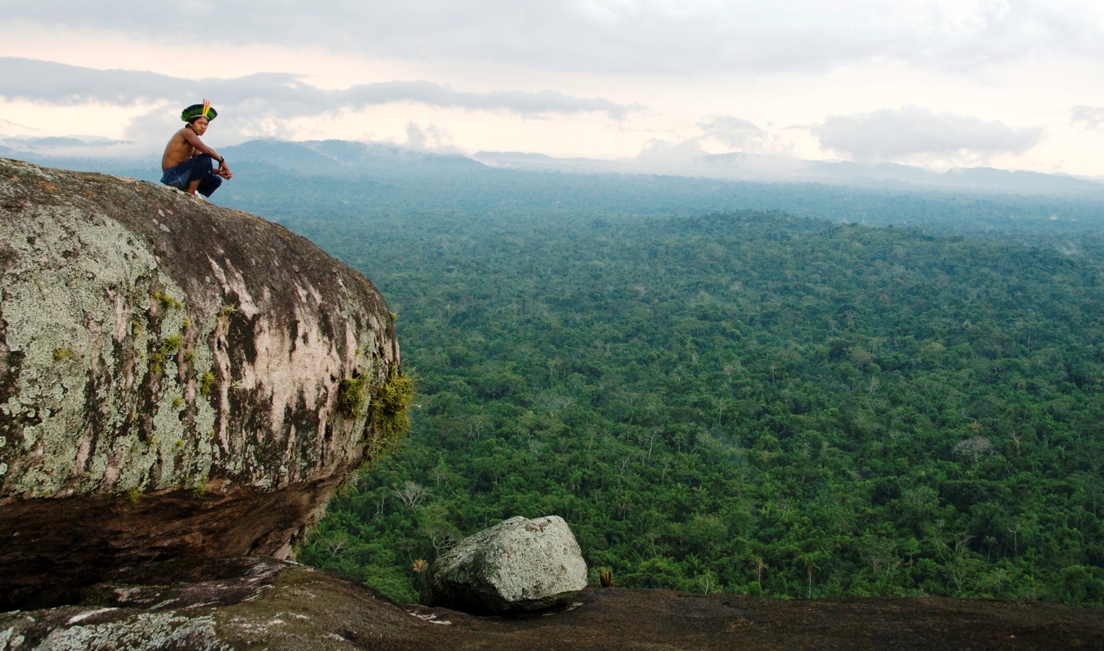 National Geographic: stop destroying forests!