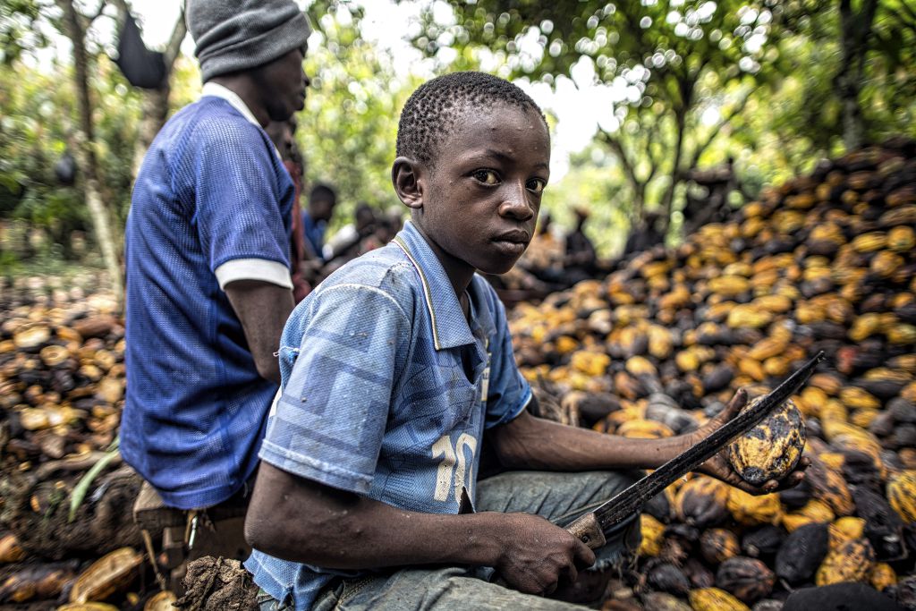 Ferrero Rocher chocolates may be tainted by child labour, Child labour