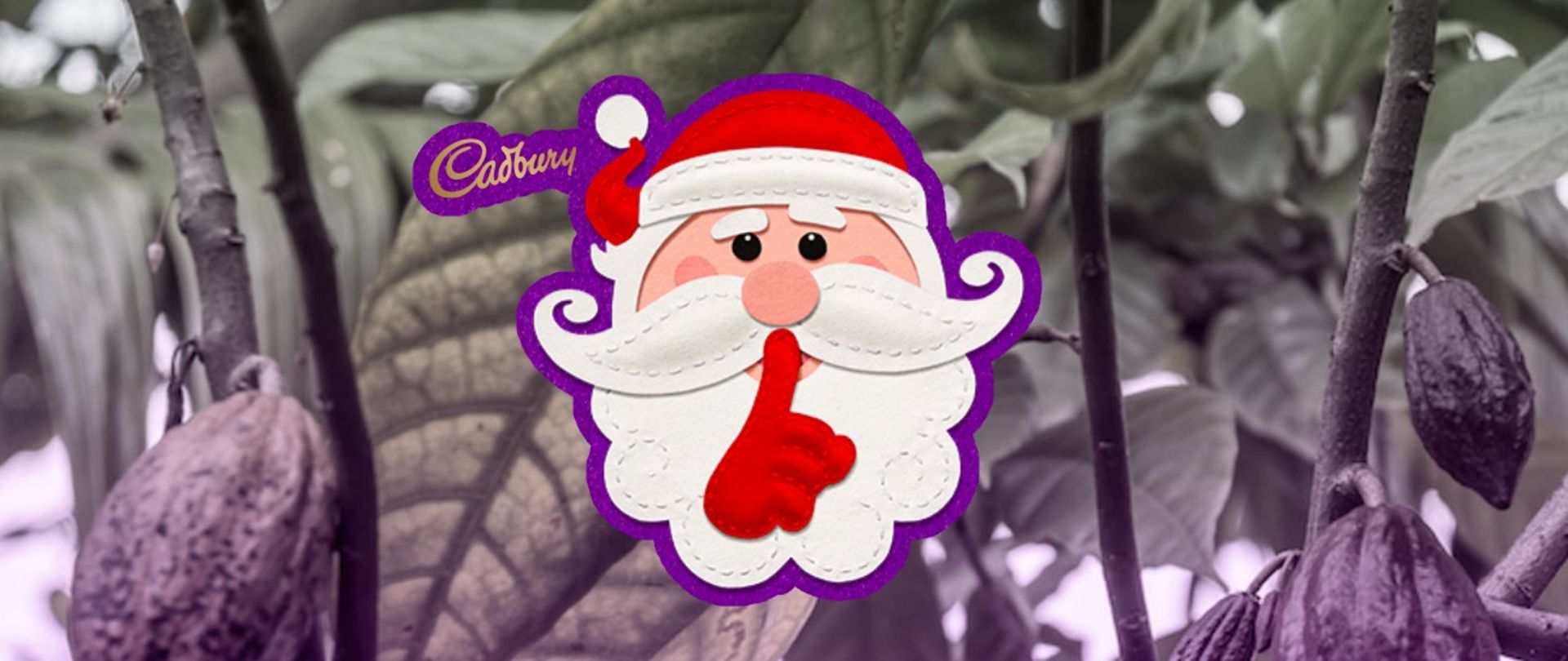 Chip in to help make your Christmas chocolate deforestation free!