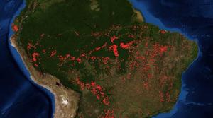 The Amazon is burning. Stop the disastrous Mercosur trade deal