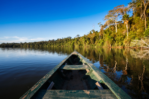 Ayuda a proteger las tierras originarias de lxs Tupinambá contra las codiciosas corporaciones madereras