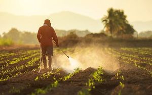 Stop à l'#AllianceToxique : Empêchons Bayer de siéger aux Nations unies