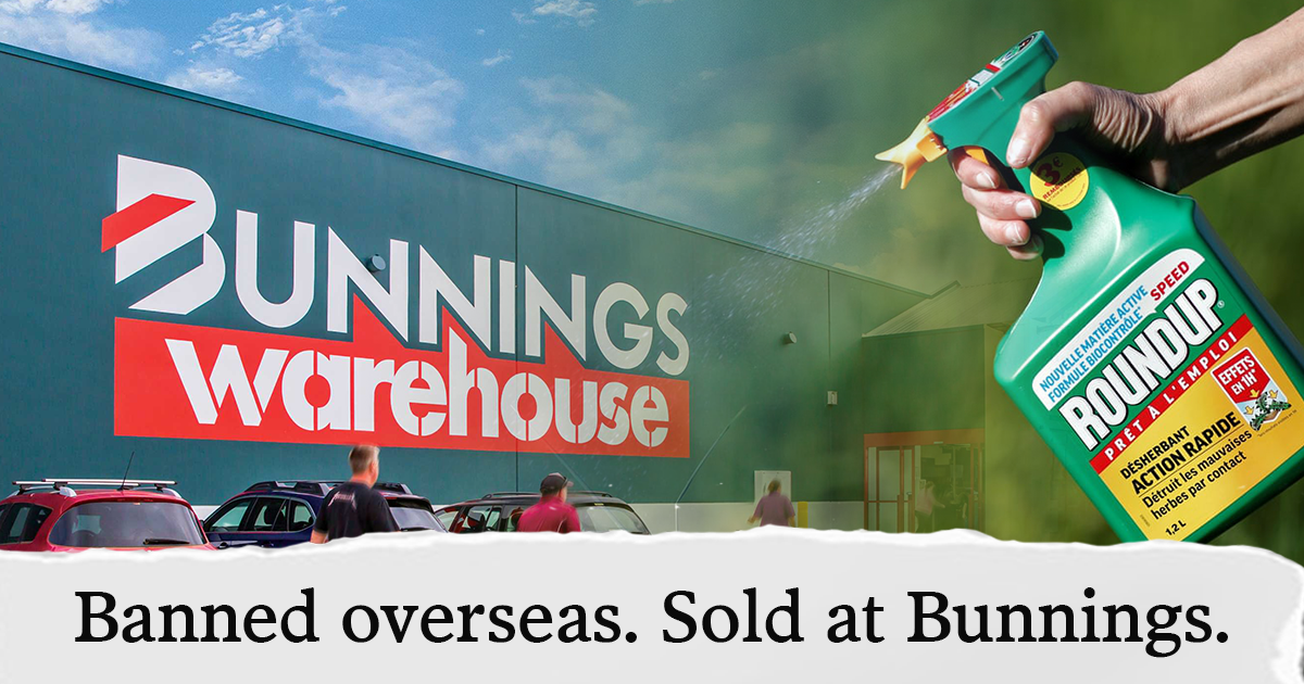 The Bunnings Files