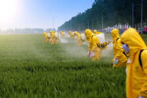 Achetons Bayer-Monsanto !