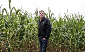 Faites un don pour aider les agriculteurs à lutter contre Bayer-Monsanto.
