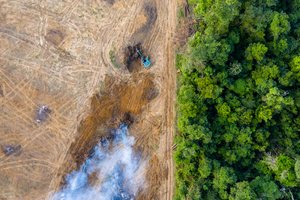 Faites un don pour protéger des millions d'hectares de forêt amazonienne.