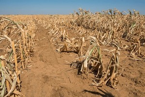 Collecte pour financer des pompes à eau solaires dans les communautés touchées par la sécheresse 