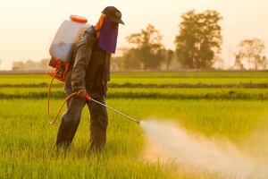 EU: stop spreading banned chemicals!
