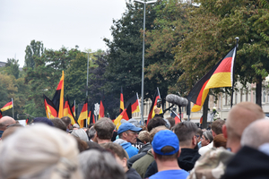 Wir sagen NIE WIEDER: AfD-Verbotsverfahren jetzt untersuchen!