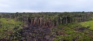 Stoppt den Amazonas-Zerstörer Nr. 1