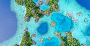 Detener los proyectos de combustibles fósiles en el Triángulo de Coral