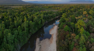 Get brave nature defenders out of jail