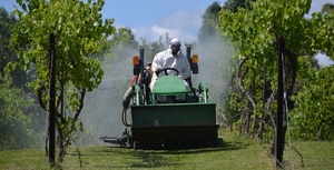Help stop this bee-killing disaster