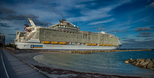 ¡Royal Caribbean no termines con la selva maya!