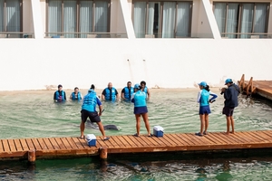 Hyatt: ¡Basta de lucrar con el sufrimiento de los delfines!